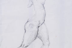187-Figure-Gesture-Drawing-Grafite-22x16