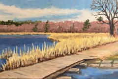 Great Meadows, Oil on Board, 12 x 20 2022
